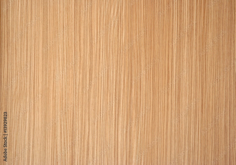 Fototapeta premium zebrano