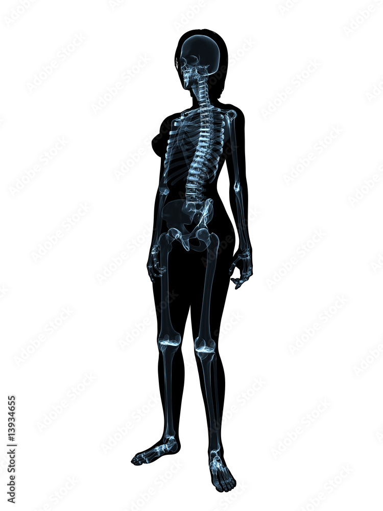 transparenter weiblicher körper mit skelett
