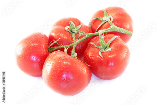 tomato