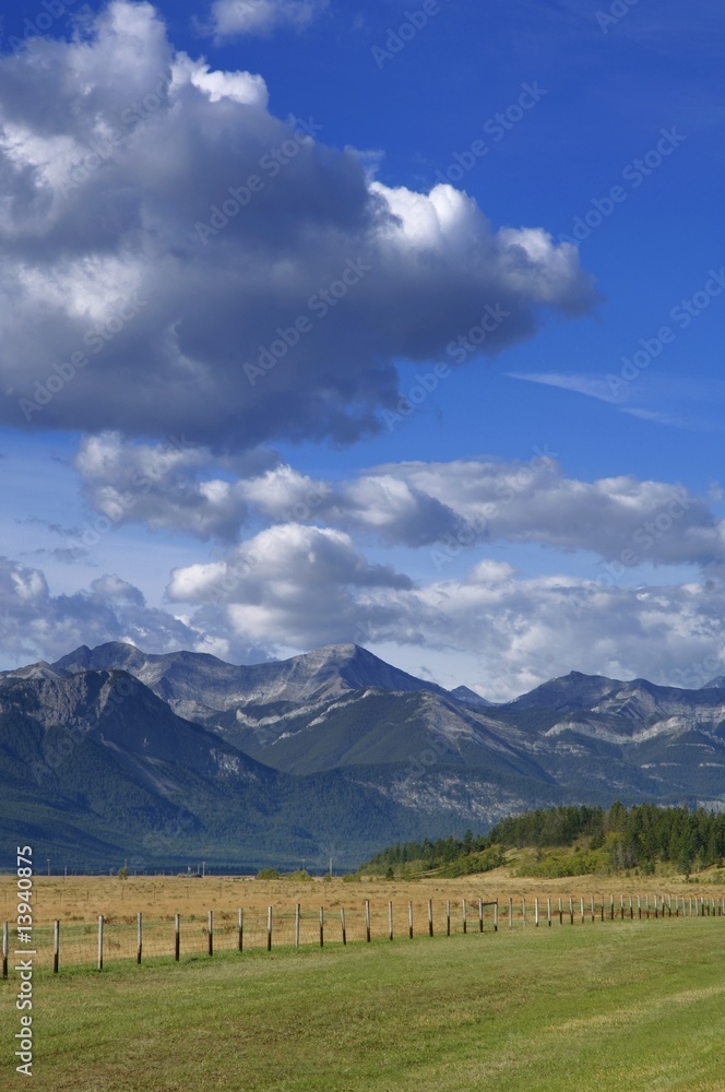 A field with mountains in background