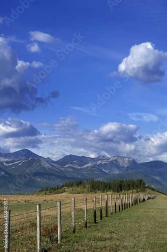 Field with mountains in background