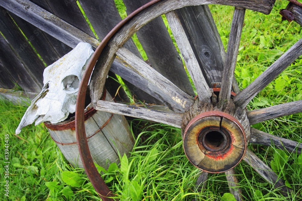 Wooden wagon wheel and skull