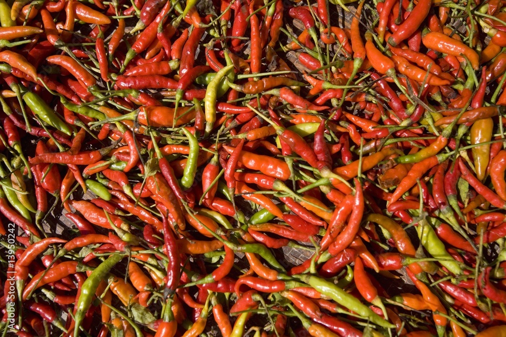 Fototapeta premium Chili peppers