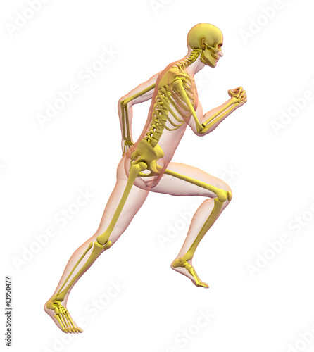X-ray illustration of male human body and skeleton running.