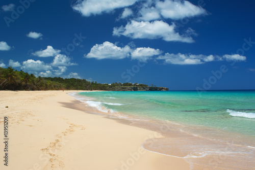 Fototapeta Naklejka Na Ścianę i Meble -  Beautiful deserted palm lined caribbean beach