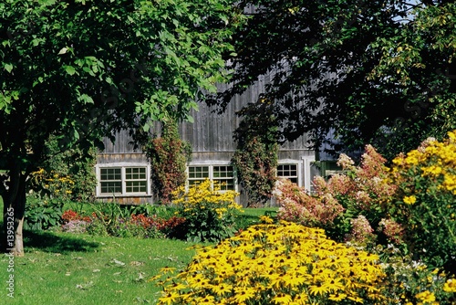 Wild garden with barn in background