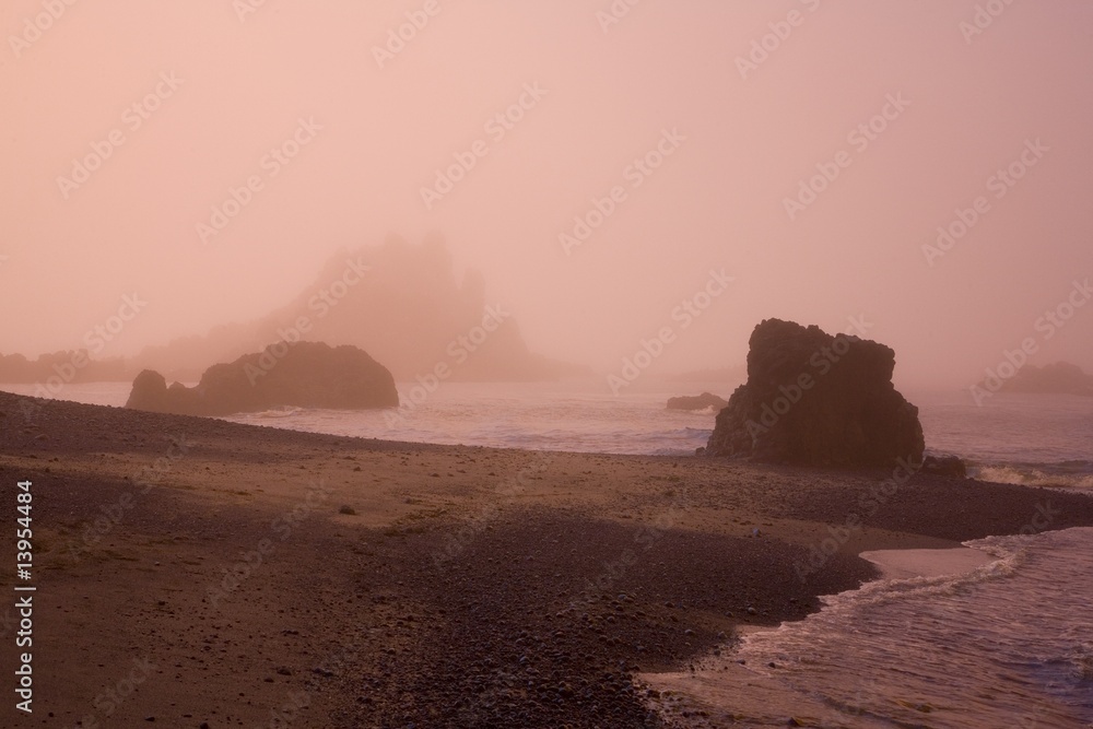 Morning fog, Cobel Beach, Yaquina Head, Oregon Coast, USA
