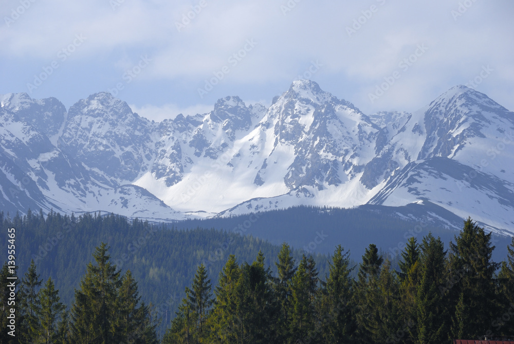 Tatra mountains in spring