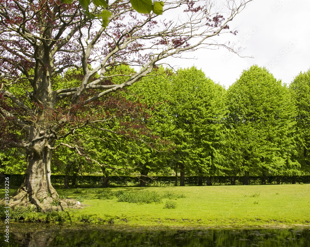 Obraz premium Landscape