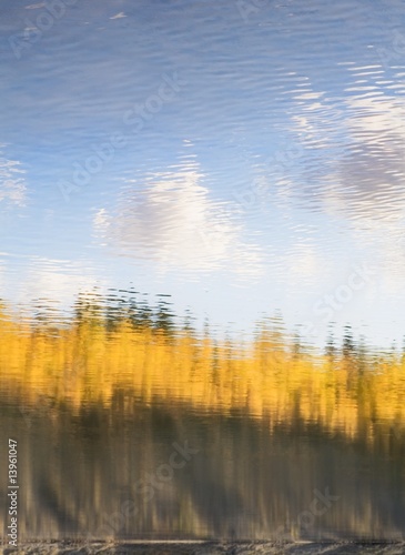 Reflection of fall foliage in water
