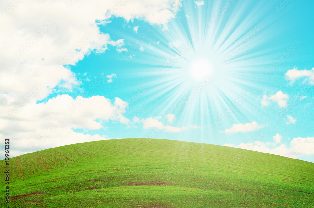 Wonderful green field and blue sun sky.