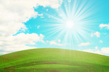 Wonderful green field and blue sun sky.