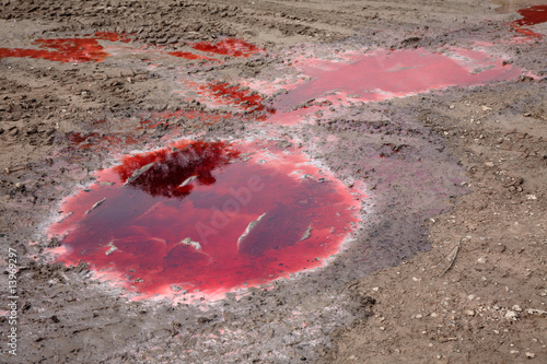 Tableau sur toile Diesel Pollution