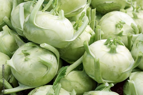 Schilderij op canvas early green kohlrabies