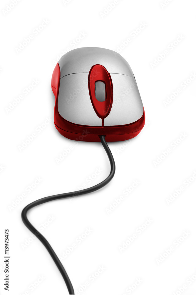 computer mouse