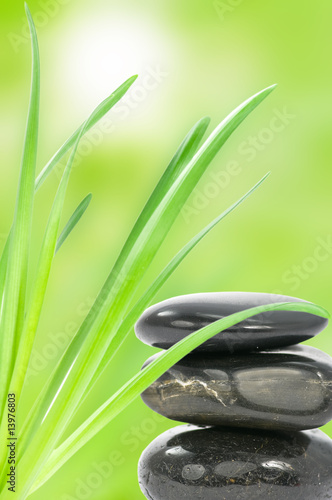 Spa stones and green leaves