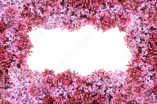 Lilac frame