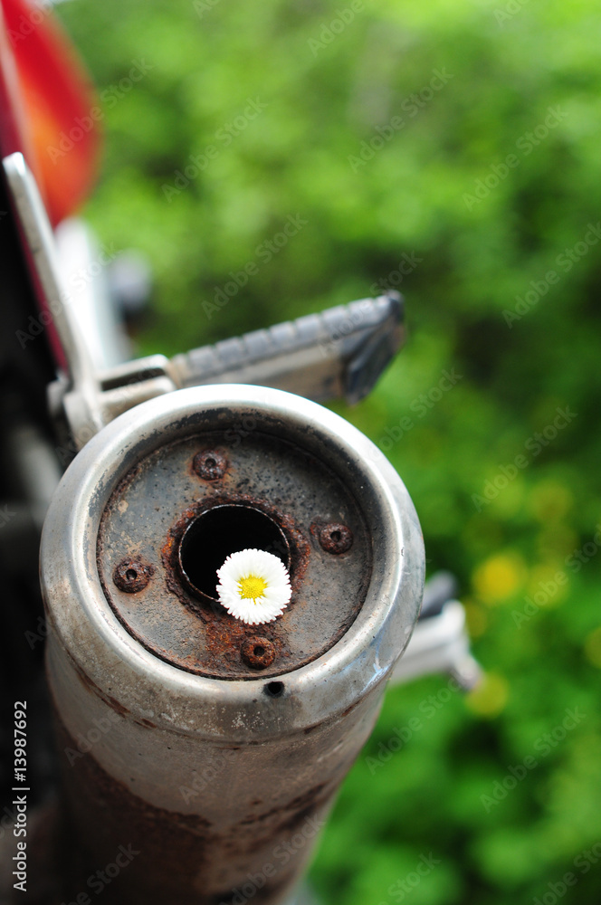 Auspuff mit Blume Auspuff mit Blume