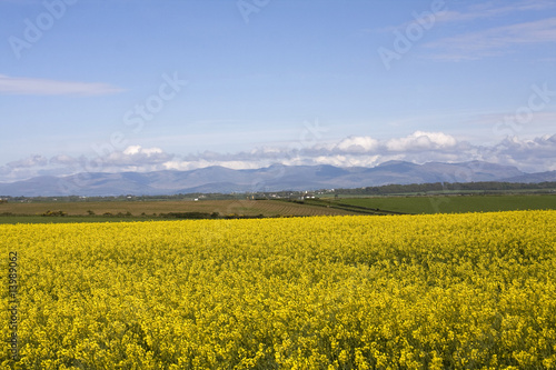 View to Snowdonia