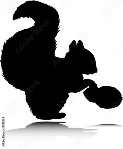 squirrel vector silhouettes