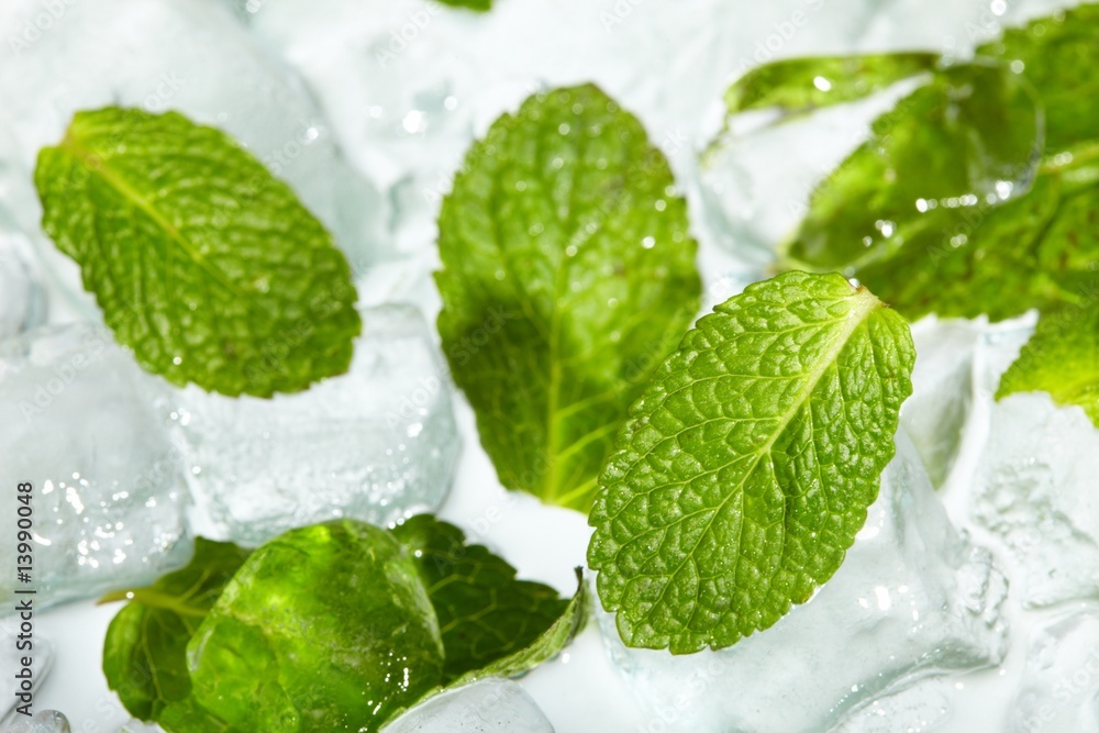 Obraz premium Leaves of mint in ice