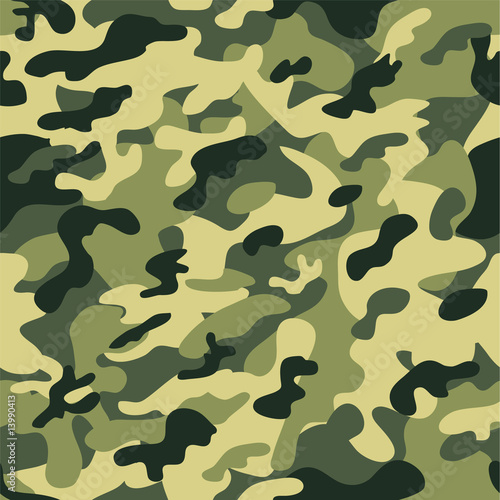 Seamless camouflage pattern