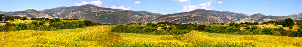 Meadow Meadow