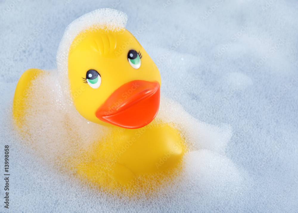 Rubber duck in the bath Rubber duck in the bath