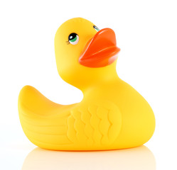 Rubber duck