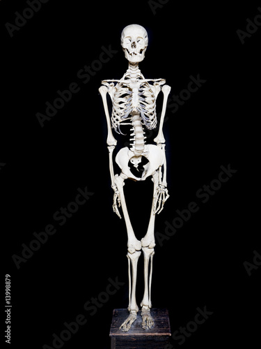 Skeleton towards black background © gemenacom