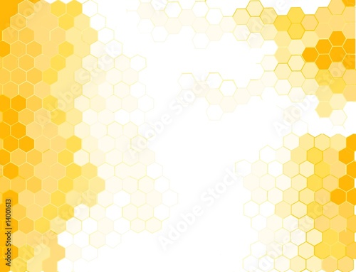 Honeycomb photo
