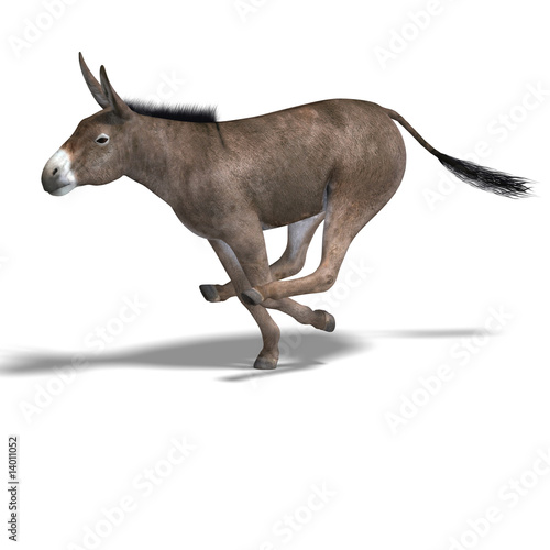 Donkey Render © Ralf Kraft