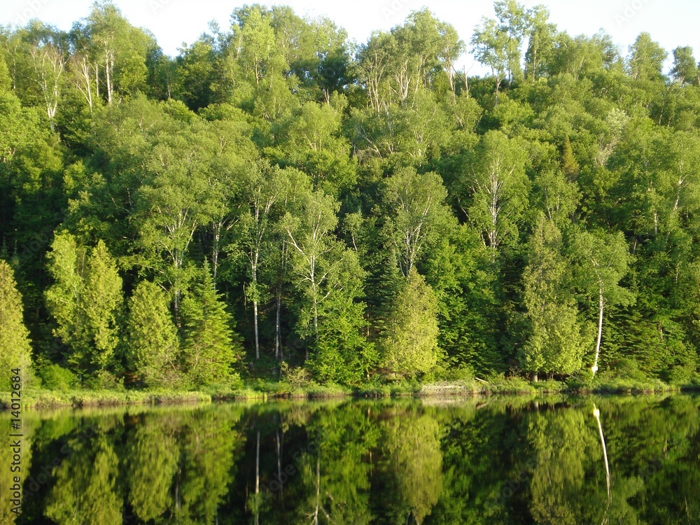Fototapeta premium Waldsee
