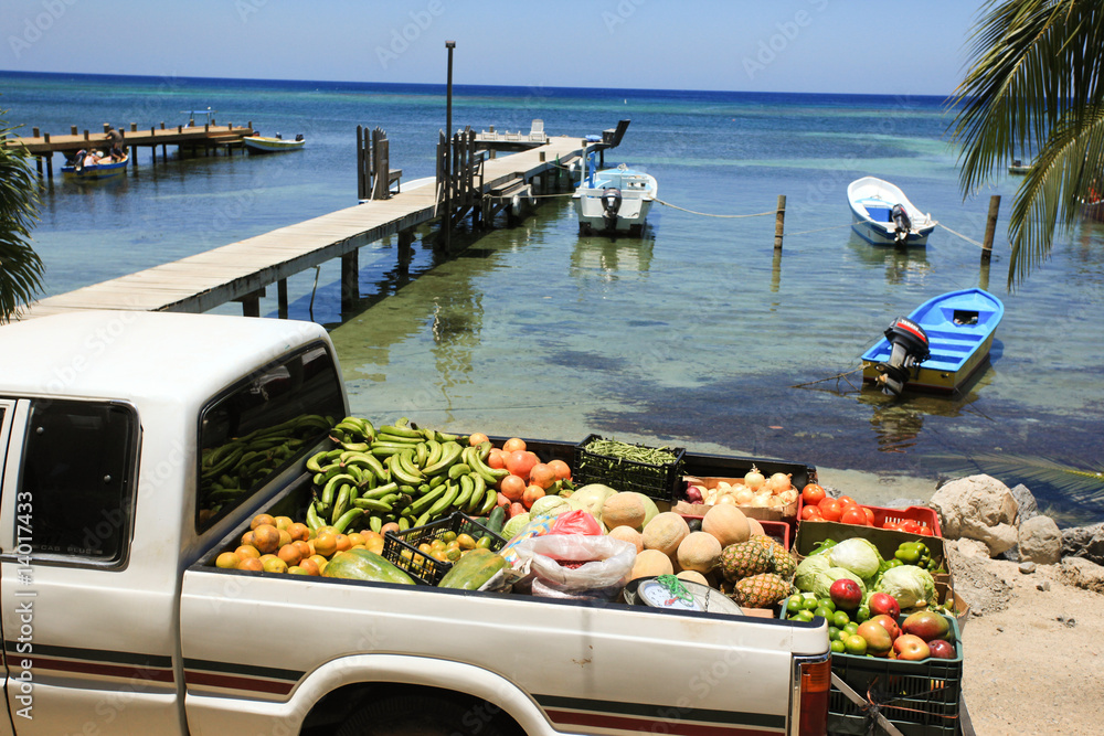 Obraz premium Fruits on the beach