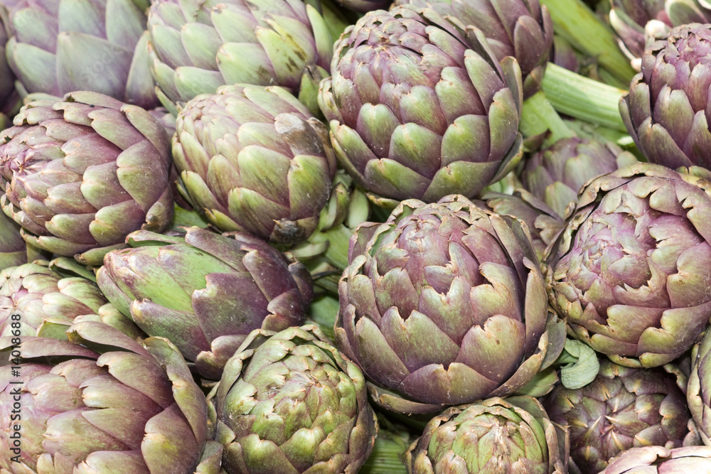 Fototapeta premium artichokes