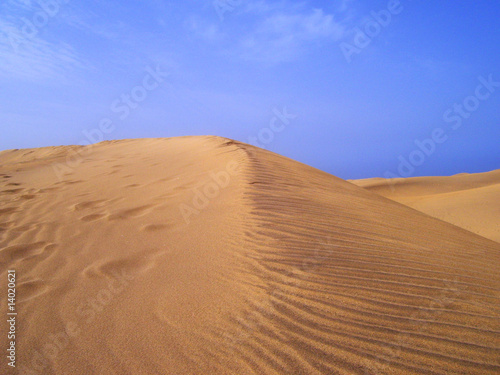 Sand dune detail against blue sky and white clouds © cristovao31