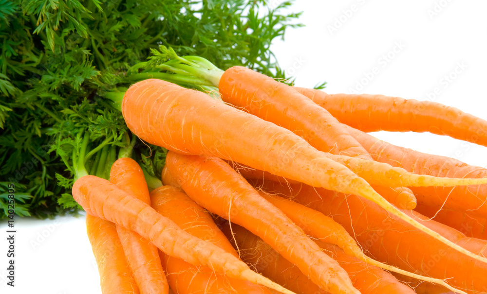 Bunch of Baby Carrots over white Bunch of Baby Carrots over white