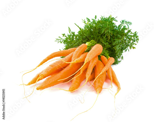 Bunch of Baby Carrots over white