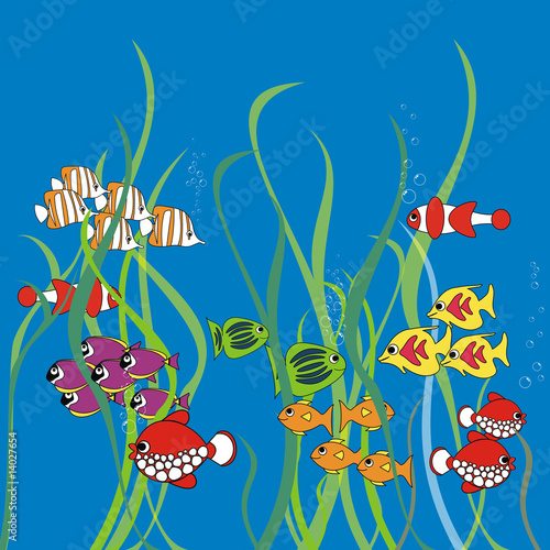 Cartoon fishes