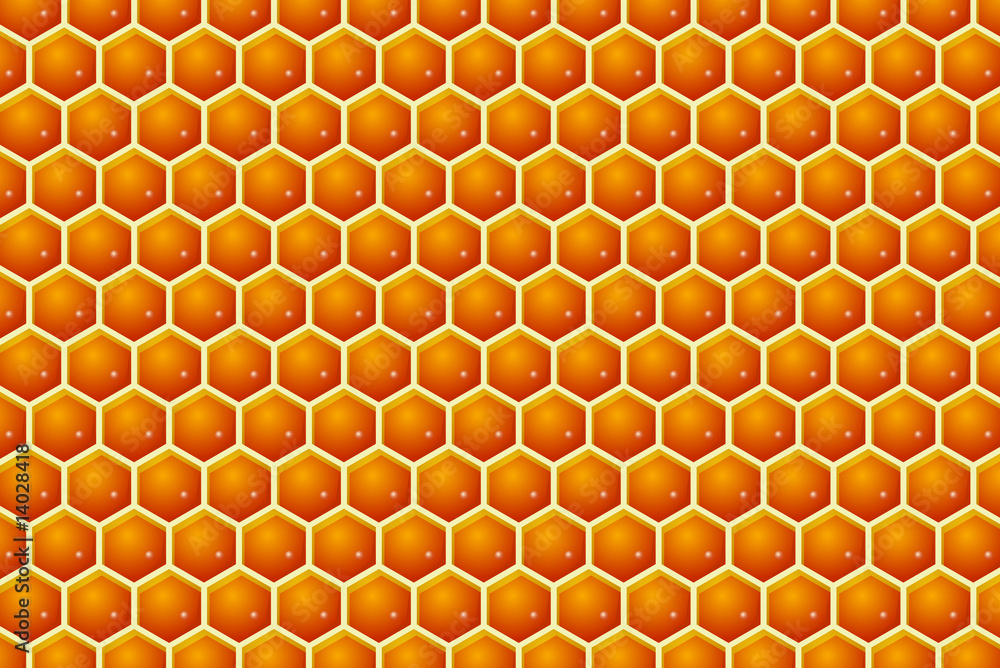 Honey cells Honey cells