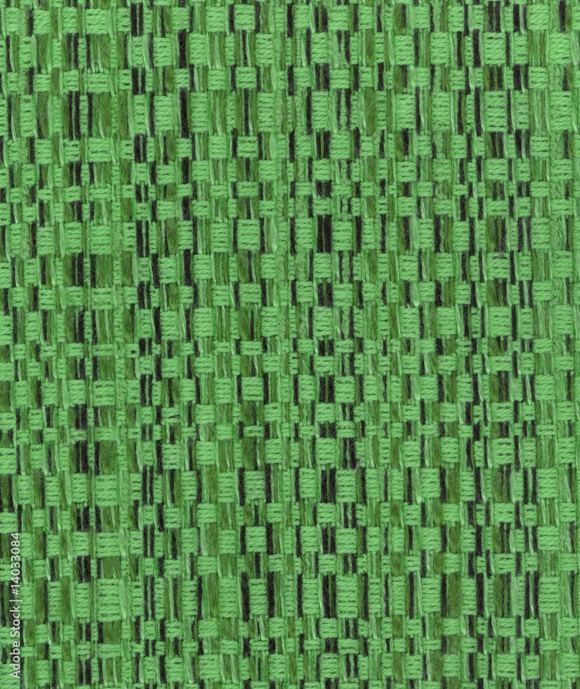 Fototapeta premium Green Bamboo Fabric