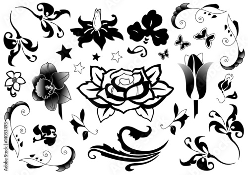 Blumen und Ornamente der Flora als Vektor