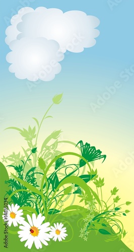 Chamomiles. Spring composition. Vector