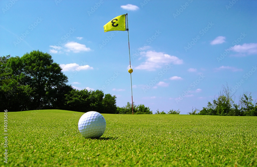 Obraz premium green de golf n3