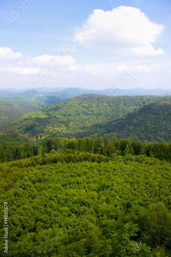 Blick über den Pfälzerwald