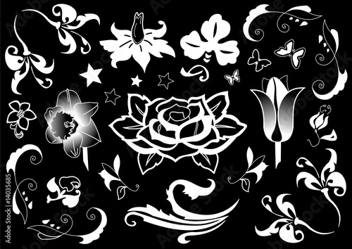 Ornamente und Design als Vektor der Flora