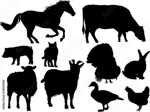 farm animal vector