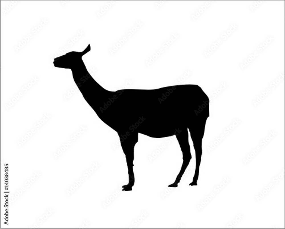 Lama Silhouette Lama Silhouette
