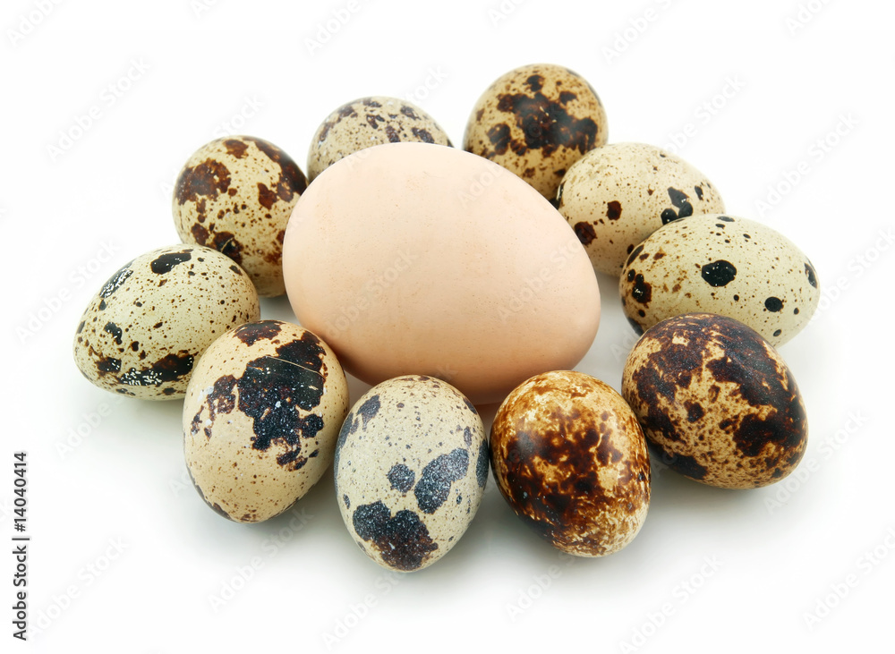 Group of Raw Quail Eggs Isolated on White
