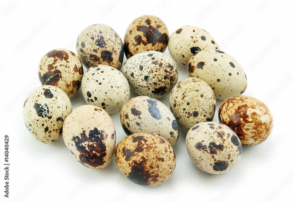 Group of Raw Quail Eggs Isolated on White Group of Raw Quail Eggs Isolated on White